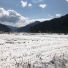 雪降ってツバメまだ見ぬ上味見