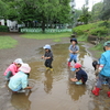 雨の後の遊び