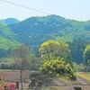 🏡	桜の花びら舞う世界に