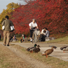 鴨だから鴨川