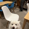 緊張
