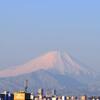 今朝は良い天気ですね