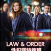 LAW & ODER: Special Victimes Unit 17-21