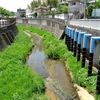 この分水路がなければ溢れた雨水は矢野口あたりに押し寄せたことだろう