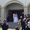 姪の結婚式に行ってきた