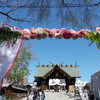 札幌の花詣・2024　札幌諏訪神社（前編）