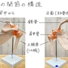 バレエノート(9)肩が上がらないようにするためのヒント1 〜肩の構造　テキストPDF印刷OK！
