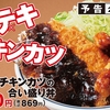 かつやから「トンテキとチキンカツの合い盛り丼」が新登場！ボリューム満点の新商品、定食もあります