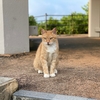 本日のベストスリー８月１日