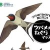 全国18か所の『ツバメのねぐらマップ』、 日本野鳥の会より6月10日から無料配布！