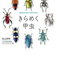 一輪の菊と、近寄る昆虫 楽天市場】Gakken 昆虫最強王図鑑 : XPRICE楽天市場店