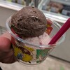 【サーティワンアイスクリーム 札幌ポールタウン店】ワールドクラスチョコレートマジでおすすめ。
