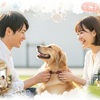 犬好き婚活診断！最適な出会い方見つける