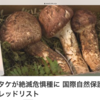 ７月１０日（金）７・１０語呂合わせで納豆の日、コロナ都内の感染者２２４人、８割が３０代以下、アメリカ遂に３００万人超え、