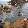 海の生き物を獲って食べるという自然体験学習 in 佐渡島