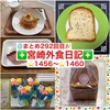 【🌐まとめ292回目🎉】🚩宮崎外食日記‼️⭐️1456〜⭐️1460❇️「洋康青果」❇️「手作りぱんのお店ゆきうさぎ」❇️「THE BAKERY」❇️「アフランシールカフェ」❇️「本田鮮魚店」