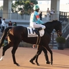 2025.11.15 マルクパージュさん 京都12Ｒ  ３歳以上１勝クラス 芝1600mに出走しました