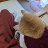 探し物が増えたね〜