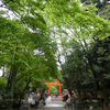 令和元年🌿下鴨神社参拝♪