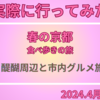 実際に行ったみた京都旅行　　醍醐周辺と市内グルメ旅（2024年4月版） 