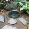明治神宮～小石川植物園～座禅会