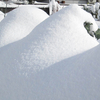 今日は２０センチ弱の積雪