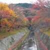 自宅から10分の紅葉狩り〜三井寺で楽しむ〜