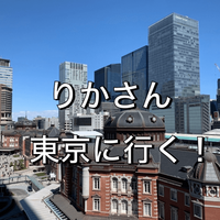 バタバタ旅行記⁈りかさん♡20年ぶりに東京に行く！