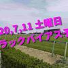 2020,7,11 土曜日 トラックバイアス予想 (福島競馬場、阪神競馬場、函館競馬場)