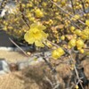 朝から憂鬱な気分