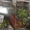 多肉植物の寄せ植えを作りました！