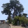 旅行3日目です！