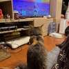 愛とは。
