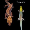 ヤモリ雑誌 Gecko Essence 販売→完売