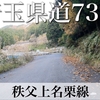 【車載動画】埼玉県道73号 秩父上名栗線