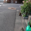あれは誰だ！