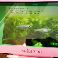小学5年生の理科 7月 メダカのたまごと誕生 小学生ライフ 毎日の勉強と習い事の話