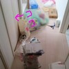 階段の収納内を断捨離す。