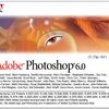 Photoshopのトーンカーブ機能をいまさら理解して使ってみた件