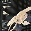 NBM010 シロナガスクジラ骨格