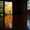 京都御苑の秋のおすすめー 閑院宮邸跡 (床紅葉)