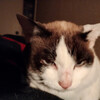 2024-04-13(Sat)