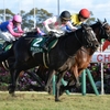 競馬初心者必見☆馬券予想🔥〜きさらぎ賞〜軸不動も取りこぼしの可能性あり？