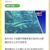 「魚は自分が分かる」