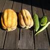 我が家の無農薬野菜