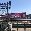 2024・GW釣行☆彡横浜