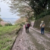 入生田から早川で名残の桜