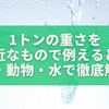 1トンの重さを身近なもので例えると？車・動物・水で徹底解説