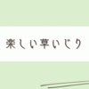 植物観察は案外なかなか忙しい