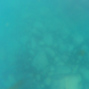 GoPro MAX 5月 大型クロソイ 女川編　メタルジグ60ｇでゲット　海中濁り過ぎ！